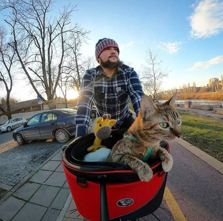 cat nala bike